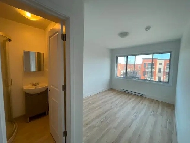 Appartements 4-1/2 à louer - 5 minutes à pied du métro PIE-IX Image# 4