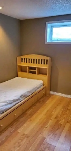 Room for Rent in Whitehorn / Falconridge NE Calgary Image# 1