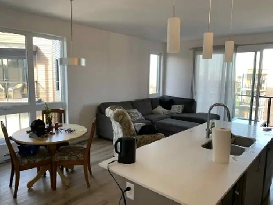 Spacious Condo for Rent - 65 Rue Nancy Elliott Image# 4