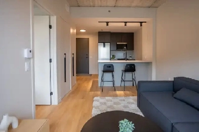 3½ appartement meublé et moderne Image# 11