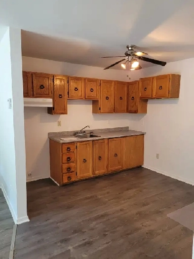 logement à louer 3 1/2 rue Denison O 3e étages 869$ Image# 5