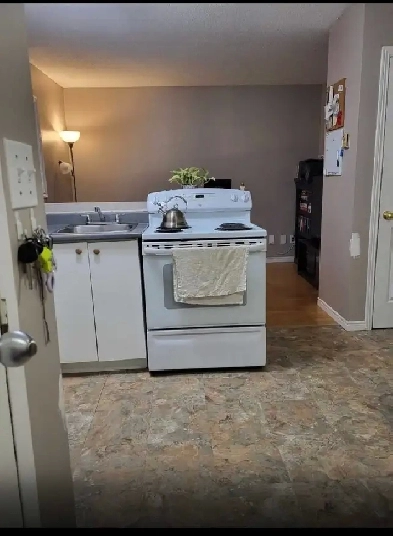 Clean and Smoke Free 1 bedroom Apt Image# 6