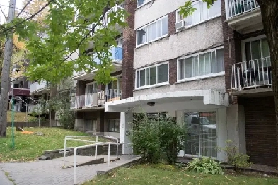 BEAU PETIT 3 ½  À LOUER/ CDN/ Près Hôpital Juif, Ste-Justine HEC Image# 1