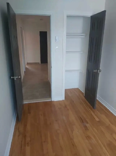 5 1/2 tres comfortable pres de tous metro fabre Image# 1