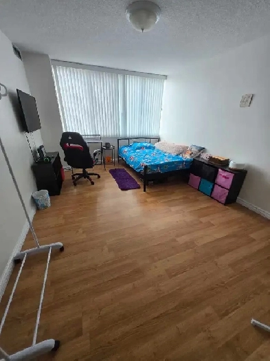 Room for rent in 3bdr apt Image# 1