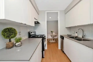 Dixie Square Apartments - 1 Bedroom, 1 Bathroom Apartment for Re Image# 1