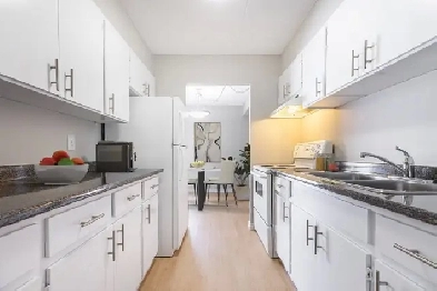 Trinity Apartments - 1 Bedroom, 1 Bathroom, JR Apartment for Ren Image# 8