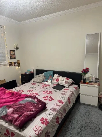 1 bedroom private  on Queen  & McLaughlin Image# 1