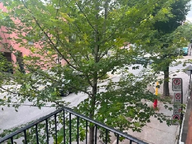 Métro PieIX:Grand 3 1/2 entrée privée, électros,internet/parking Image# 1