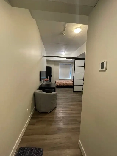 Furnished One-Bedroom/Bachelor for Rent Near Ottawa University Image# 1