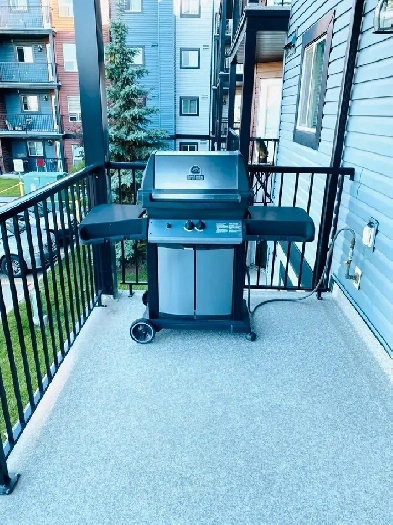 One bedroom apartment for rent in silverberry. Image# 10