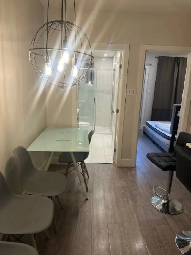 4 bedroom - 2 floor apartment in Rosemont Image# 1