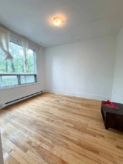 Mile End 5 1/2 ,5.5, a louer, for rent, condo,Metro, McGill Image# 1