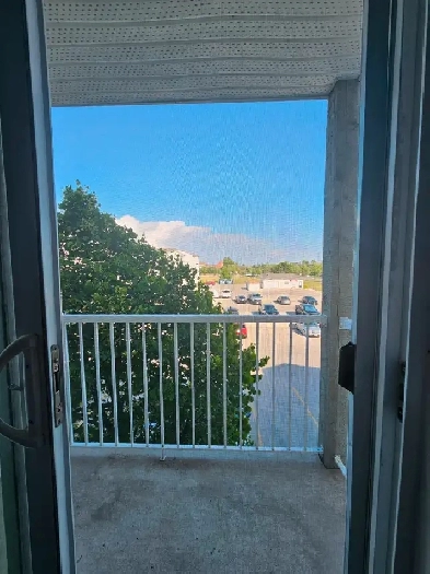 Apartment For Rent Image# 6