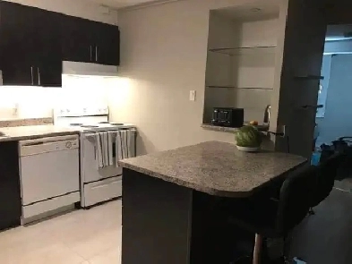 Furnished Room for Rent – Near Carleton U – $1100 All-In Image# 5