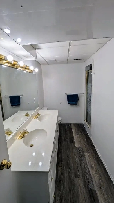Large one bedroom basement with walk in closet/den Image# 2