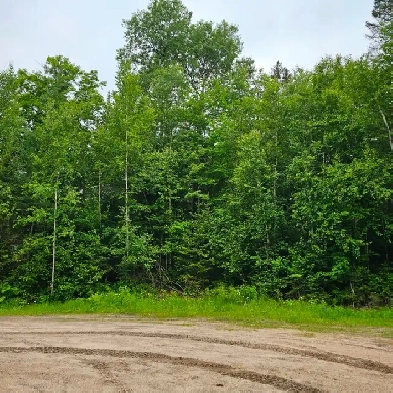 Lot 5 Arbutus Trail - Vacant land, Mattawa, Ontario Image# 2