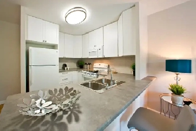 North St. Catharines 1-Bedroom Apartment for Rent! Image# 2
