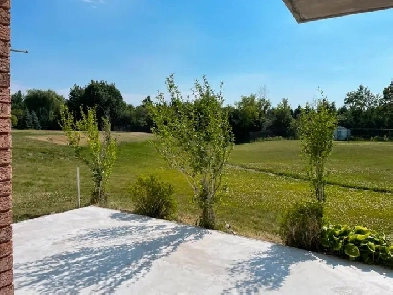 3 Bedroom Walkout basement apartment - Brampton Estate Image# 5