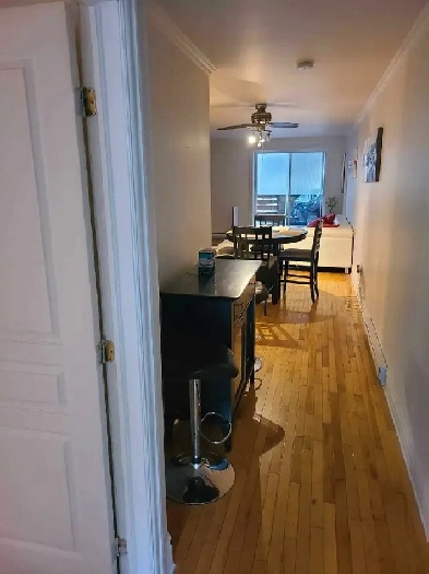 Condo 4 1/2  avec électroménagers ! Image# 4