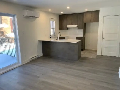 Appartement Grand 3 1/2 Laval à louer Image# 6