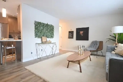 Spacious 1-bedroom with river view and GYM! Image# 8