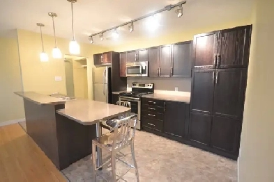 Remodeled and Spacious 2BR Sept 1st! Image# 4