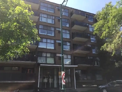 Lovely one bedroom appartment in the Town of Mount-Royal Image# 4