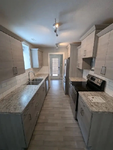 Bright 2-Bedroom Walkout Basement Suite Image# 3