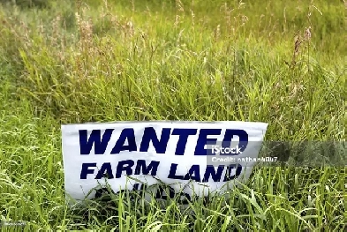 Looking to buy pasture land and/or hay land near Big Beaver Sask Image# 1