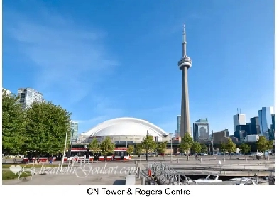 New furnished 2BD 2BA condo for rent downtown Toronto / Aug 10th Image# 3