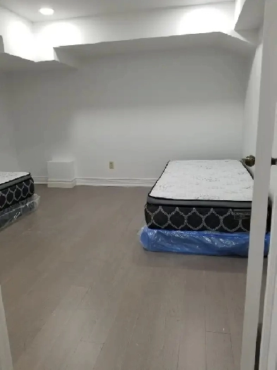 2 bed 1 bath basement in Scarborough for rent from August first Image# 3