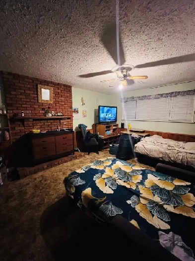 Basement for rent Image# 1