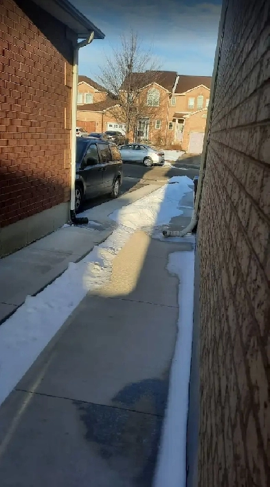 Two Room Basement for Rent (Sterritt Dr & Lockwood Rd) Image# 2