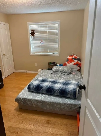 Room available for rent for 1 girl Image# 1