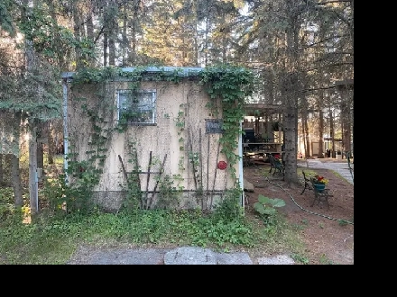 Mobile Home Image# 10