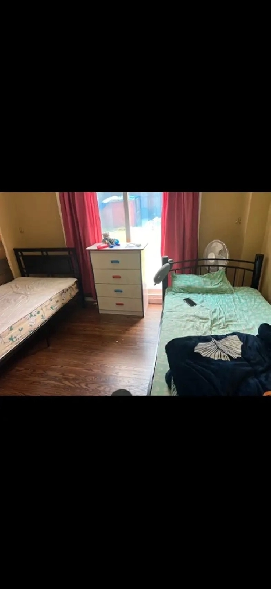 1 Sharing Room in ground floor for One  girl space Right now Image# 3