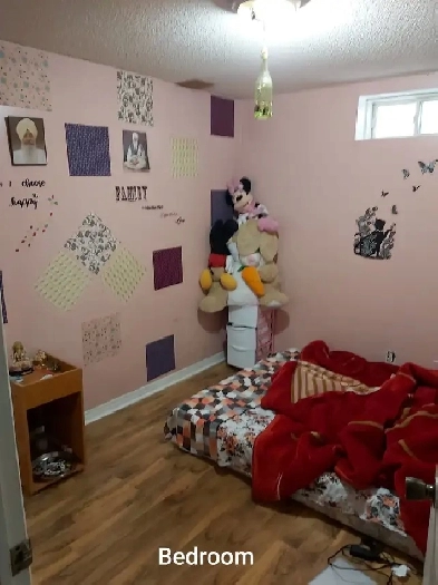 1 BR Basement for rent in Brampton (Ray Lawson & McLaughlin) Image# 1