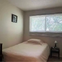 Room for Rent Image# 3