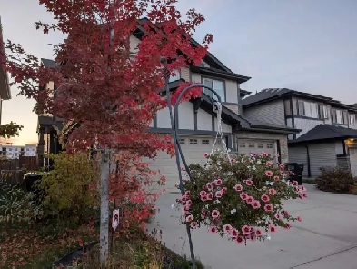 House for rent Image# 3
