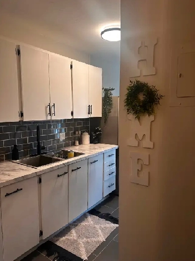 1 bedroom apartment for rent Image# 8