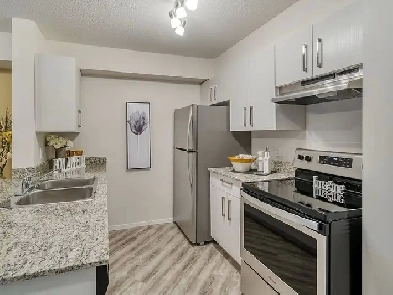 room for rent in apartment Image# 1