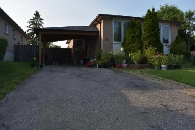 3 Bedrooms Basement  unit in Scarborough of a house for Rent Image# 8