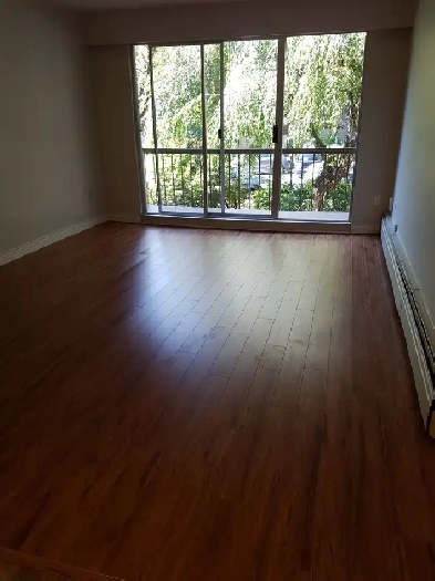 Bright 1 Bed near Marple Loop available August 1st, 2025 Image# 5