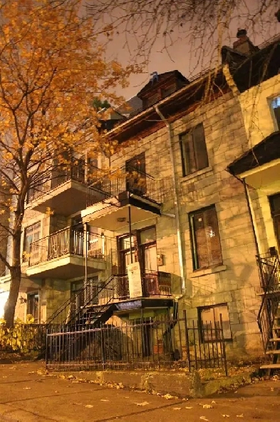 7.5 metro Place des Arts, St Urbain, Sherbrooke, 5 beds Image# 4