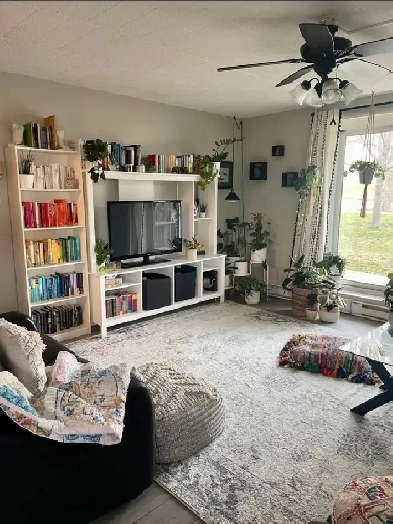 2bed 2 Bath - Spacious Apartment for Rent Image# 8