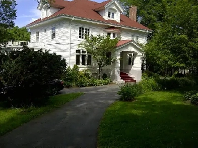 Aug. 1. Spacious room in large home near Dal. $975 all in Image# 4