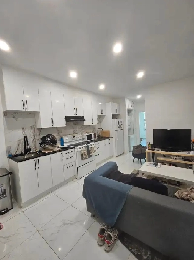 4 1/2 appartement Rénové à louer Plateau-Mont-Royal Image# 1