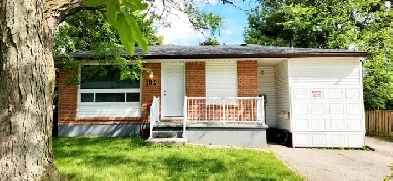 FREE 1 MONTH RENT - Reno'd & Furnished 5 Bed 2 Bath - University Image# 8