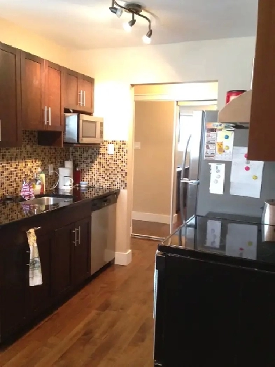 Newly Renovated One Bedroom Condo for rent in Norwood Flats Image# 6